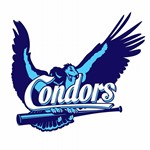 Logo HSC "De Sittard Condors"