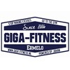 Giga Fitness 