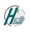 Logo Voetbalvereniging Heerenveense Boys