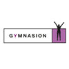 Gymnasion Joure