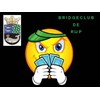 Bridgeclub de Rijp