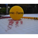 Logo Dynamic Tennis Wieringen
