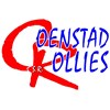 De Coenstadrollies