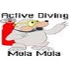 Duikcentrum Active Diving Mola Mola