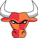 Logo GP Bulls
