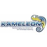 Logo ISV Kameleon