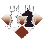 Logo Schaakgenootschap Vecht en Ommelandenk