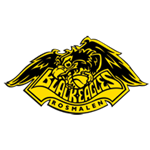 Logo Black Eagles Rosmalen