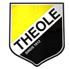 Voetbalvereniging TSV Theole