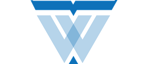 Logo Wings Technology