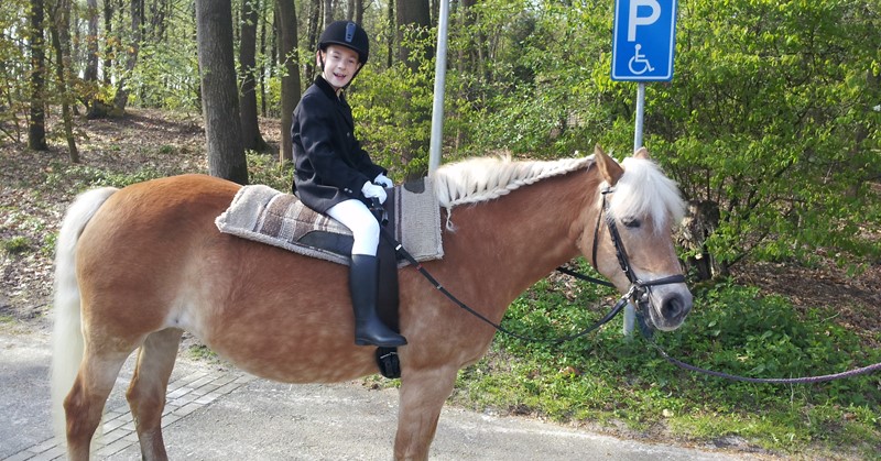 Het verhaal van Roy Reuzenaar (9) afbeelding nieuwsbericht