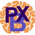 Logo Parkinson BoXing Ede