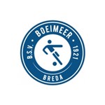 Logo BSV Boeimeer