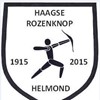 Haagse Rozenknop