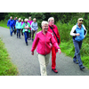 Gezond Natuur Wandelen