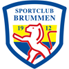 Brummen Beweegt