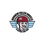 Arnhem Fallen Angels