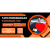 Tafeltennisvereniging DTS Enschede