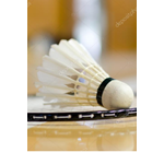 Logo Badminton vereniging Woudenberg Logo Badminton vereniging Woudenberg