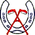 Logo Stichting 't Ros Beyaert Epe