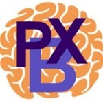 Logo Parkinson Boksen Rotterdam