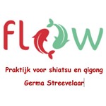Logo Flow Praktijk voor shiatsu en qigong