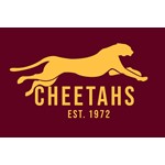 Logo HSV Cheetahs
