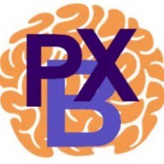 Parkinson BoXing Zevenaar logo print