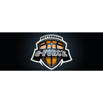 Logo G-Force Basketball 