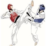 Logo Taekwondo vereniging Benek