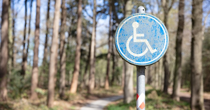 Ontdek de natuur in je rolstoel met deze tips afbeelding nieuwsbericht