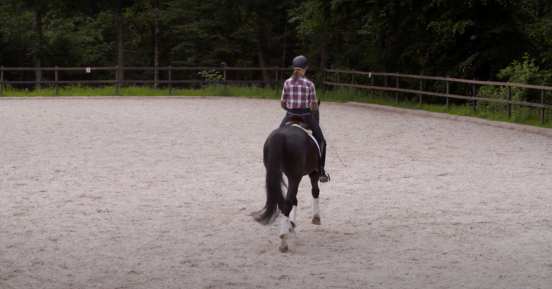Paardrijden met een beperking? Het kan! afbeelding nieuwsbericht