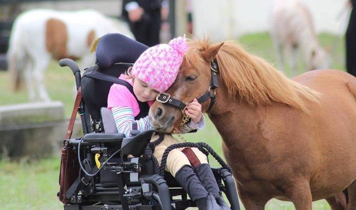 Winnie (9) zit liever op een paard dan in haar elektrische rolstoel afbeelding nieuwsbericht Winnie (9) zit liever op een paard dan in haar elektrische rolstoel afbeelding nieuwsbericht