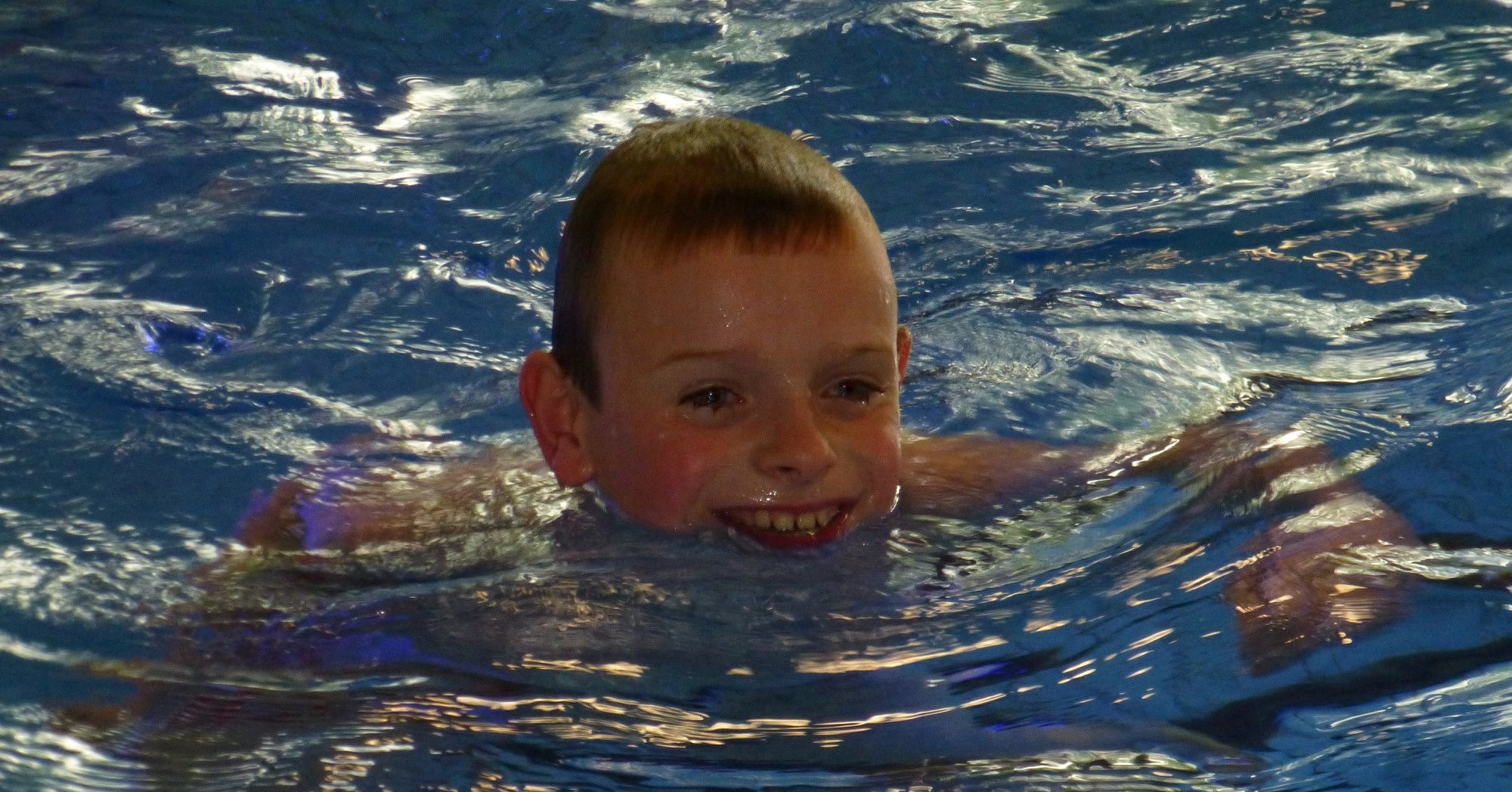 Voor waterratje Pedro is geen water te diep afbeelding nieuwsbericht Voor waterratje Pedro is geen water te diep afbeelding nieuwsbericht