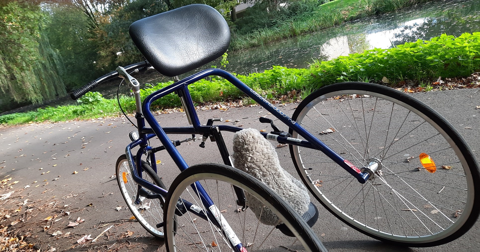 "Mijn lichamelijke gezondheid is al in 3 weken tijd verbeterd, dankzij Uniek Sporten Uitleen" afbeelding nieuwsbericht "Mijn lichamelijke gezondheid is al in 3 weken tijd verbeterd, dankzij Uniek Sporten Uitleen" afbeelding nieuwsbericht