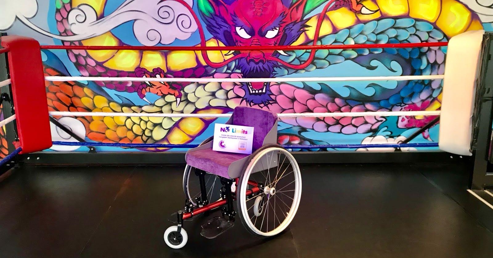 Vanuit deze speciale boksrolstoel kun je rake klappen uitdelen! afbeelding nieuwsbericht Vanuit deze speciale boksrolstoel kun je rake klappen uitdelen! afbeelding nieuwsbericht