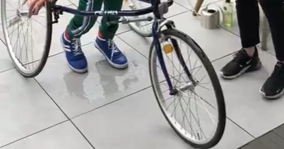 Racerunnen in de tuin en andere alternatieven afbeelding nieuwsbericht Racerunnen in de tuin en andere alternatieven afbeelding nieuwsbericht