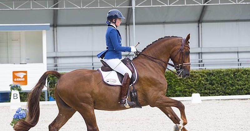 Esra rijdt paard met onzichtbare beperking afbeelding nieuwsbericht Esra rijdt paard met onzichtbare beperking afbeelding nieuwsbericht
