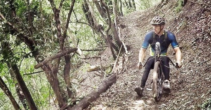 Kijk wat stoer: downhill met je handbike afbeelding nieuwsbericht