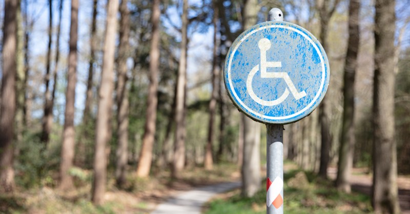 De 10 mooiste rolstoelroutes in de natuur afbeelding nieuwsbericht