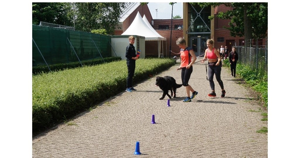 Unieke Rusheuvel Run Oss afbeelding nieuwsbericht Unieke Rusheuvel Run Oss afbeelding nieuwsbericht