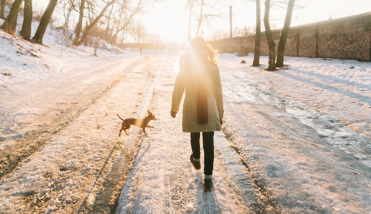 Deze wonderlijke ontdekking over wandelen wist je vast nog niet afbeelding nieuwsbericht