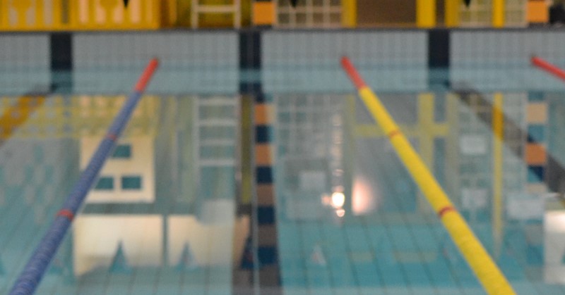Zwemmen in warm water betekent alles voor sporters van de ISVA afbeelding nieuwsbericht