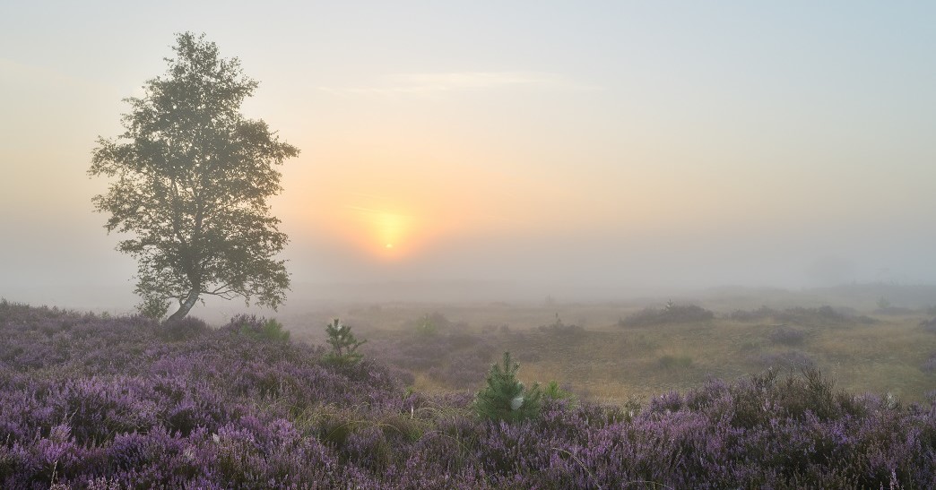 Laat je op dit wandelpad voor blinden en slechtzienden begeleiden door een app afbeelding nieuwsbericht Laat je op dit wandelpad voor blinden en slechtzienden begeleiden door een app afbeelding nieuwsbericht