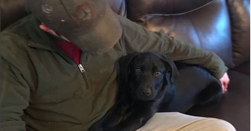 Dove man leert doof hondje gebarentaal afbeelding nieuwsbericht Dove man leert doof hondje gebarentaal afbeelding nieuwsbericht