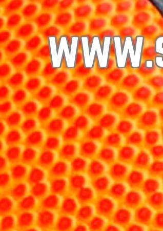 Flyer 024 On Wheels Rolstoelbasketbal Stichting Koprol