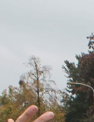 Twee mannen op blades