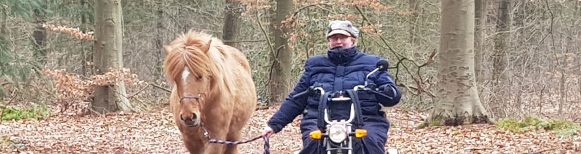 Link naar Documentaire  Afbeelding Documentaire