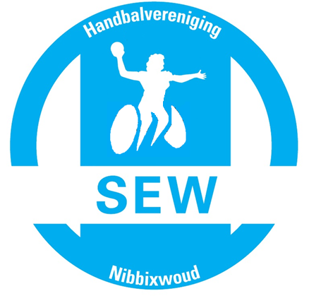 Oproep: spelers voor rolstoelhandbal afbeelding nieuwsbericht Oproep: spelers voor rolstoelhandbal afbeelding nieuwsbericht