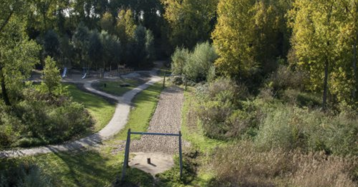 Als kinderen samen spelen vallen alle handicaps weg afbeelding nieuwsbericht Als kinderen samen spelen vallen alle handicaps weg afbeelding nieuwsbericht